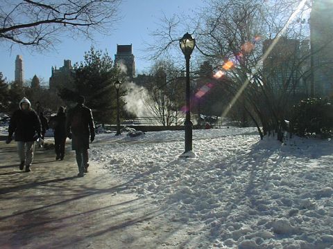 Central Park