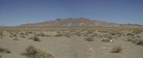 Desert Panorama