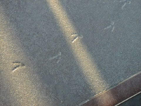 As close as you can get