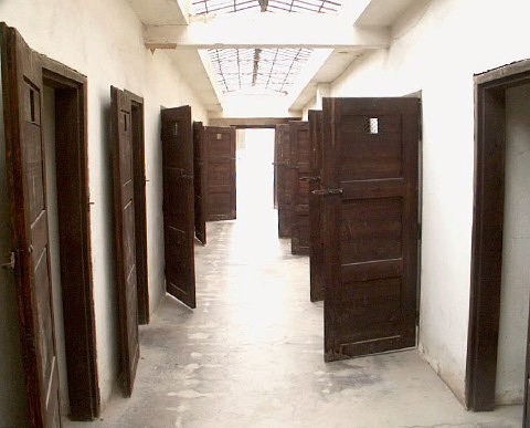 The German cells.