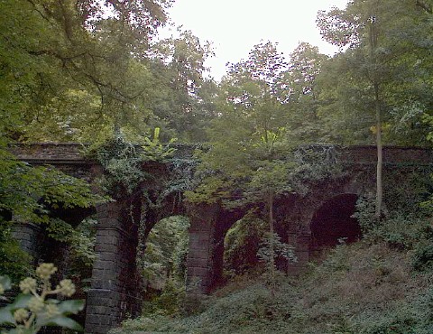 Bridge