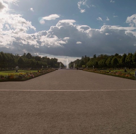 Vista