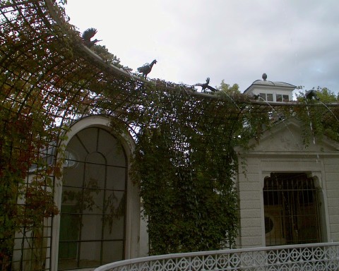 Weird bird fountain