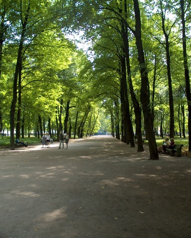 Summer Gardens