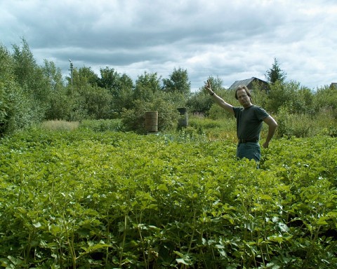 PM instills vegetables with Soviet ideas.