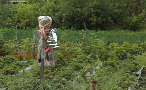 Scarecrow