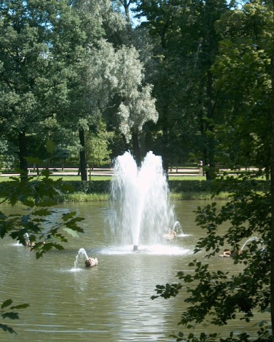 Wild fountain