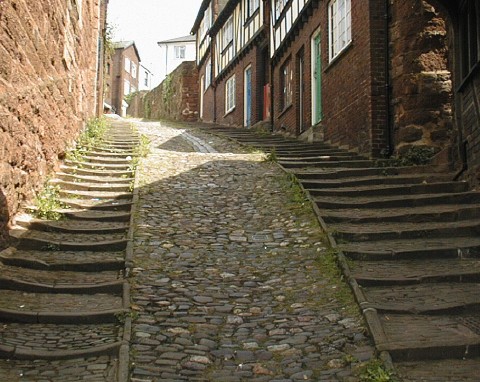 Steps