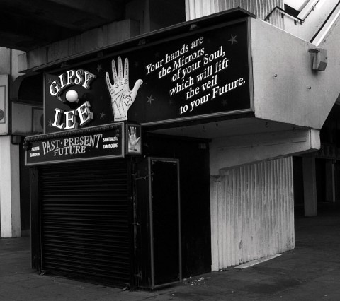 Gipsy Lee
