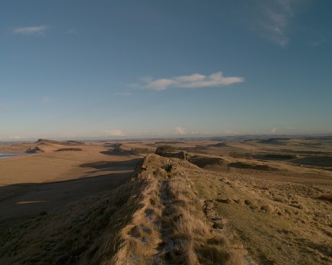 Vista