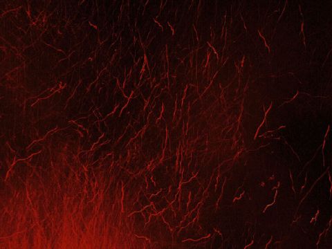 Embers