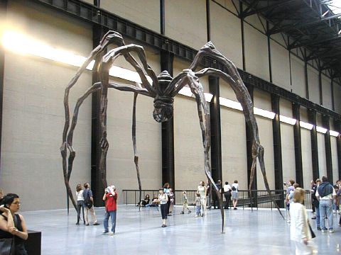 Spider