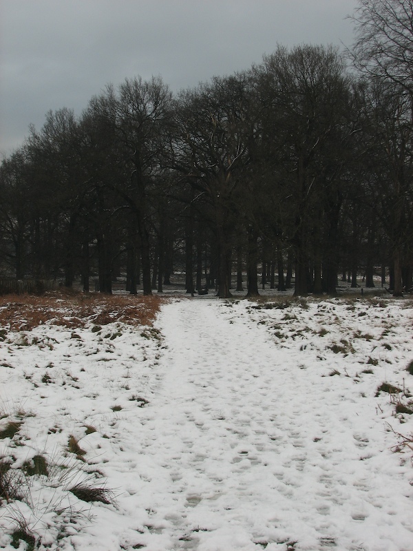 Richmond Park
