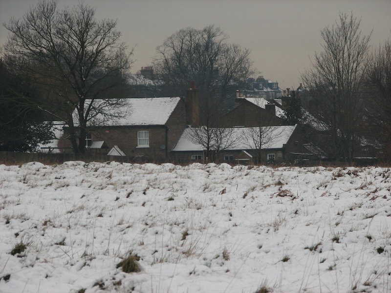 Richmond Park