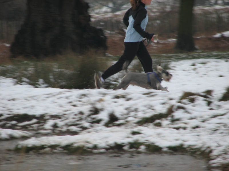 Richmond Park