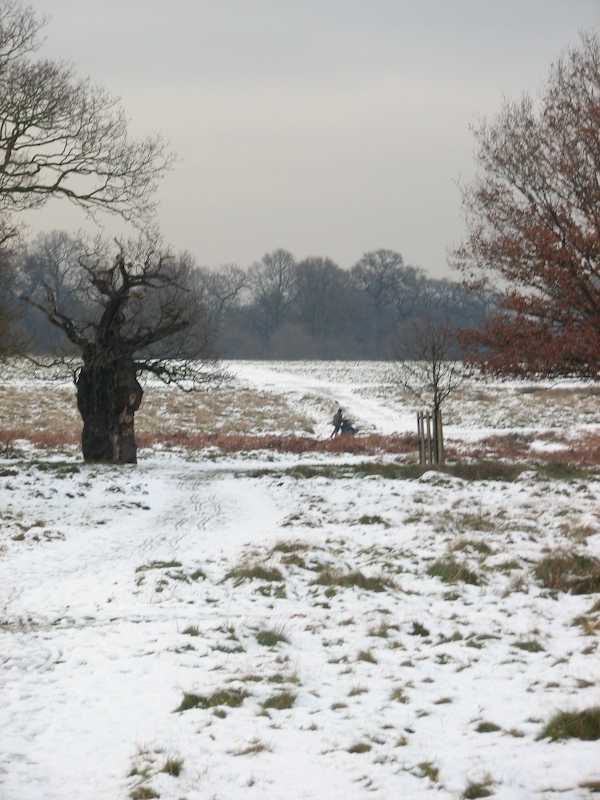 Richmond Park