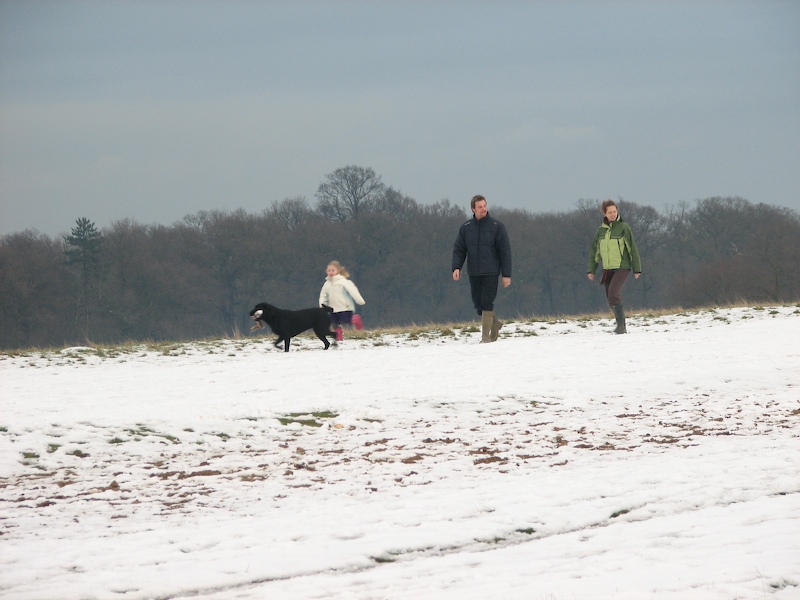 Richmond Park