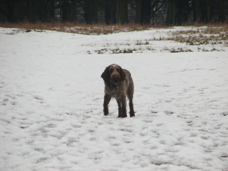 Richmond Park