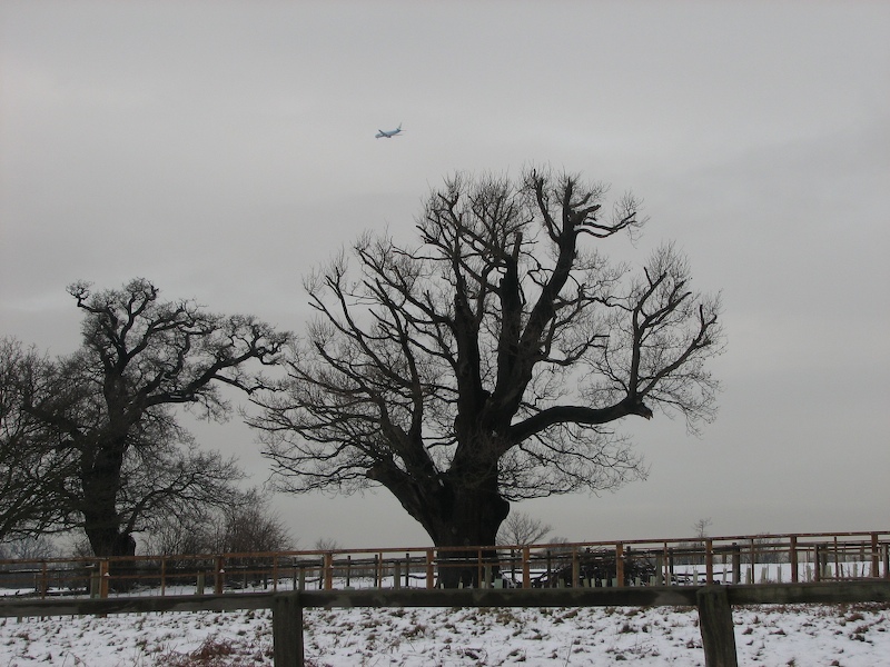 Richmond Park