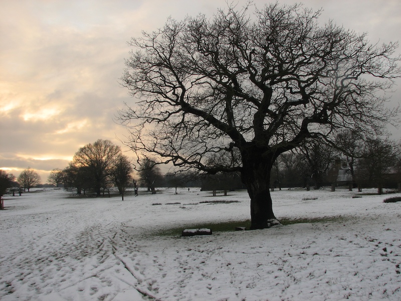 Richmond Park