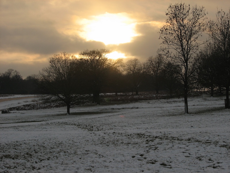 Richmond Park
