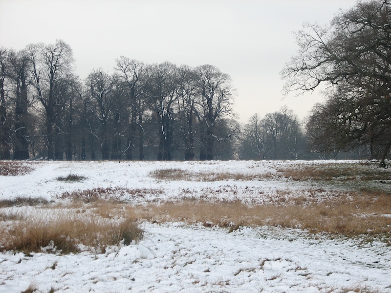 Richmond Park
