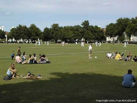 cricket