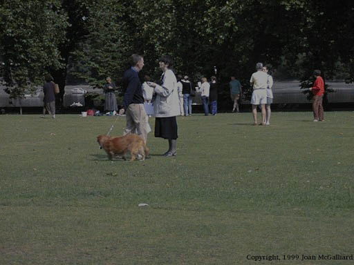 Image11