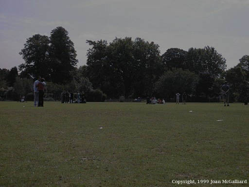 Image12