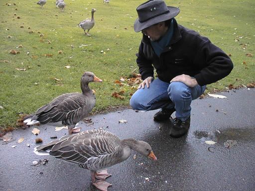 pm communes with a goose