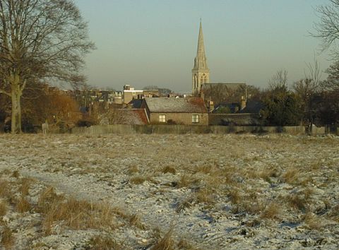 Snow and Deer in Richmond park