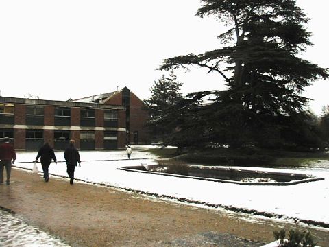 Silwood: Deep and Crisp and Even