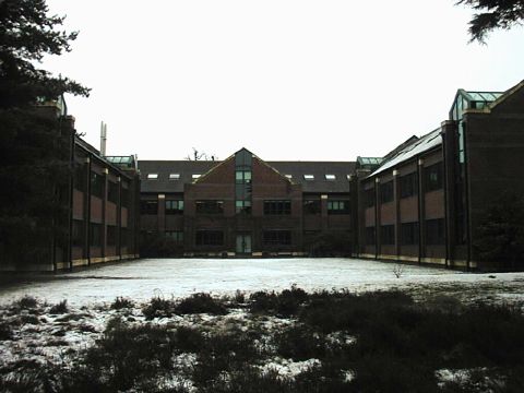 Silwood: Deep and Crisp and Even