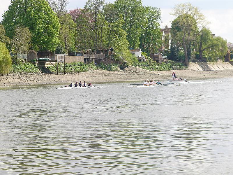 Chiswick Regatta 005.jpg