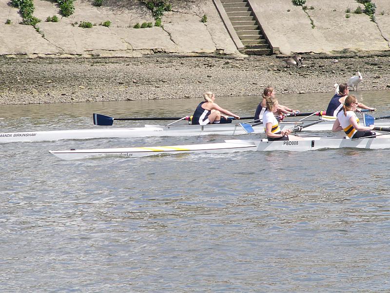 Chiswick Regatta 008.jpg