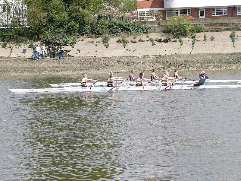 Chiswick Regatta 009.jpg