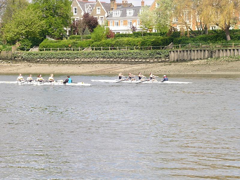 Chiswick Regatta 010.jpg