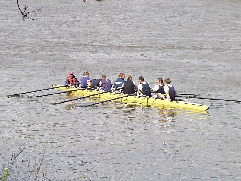 Chiswick Regatta 017.jpg