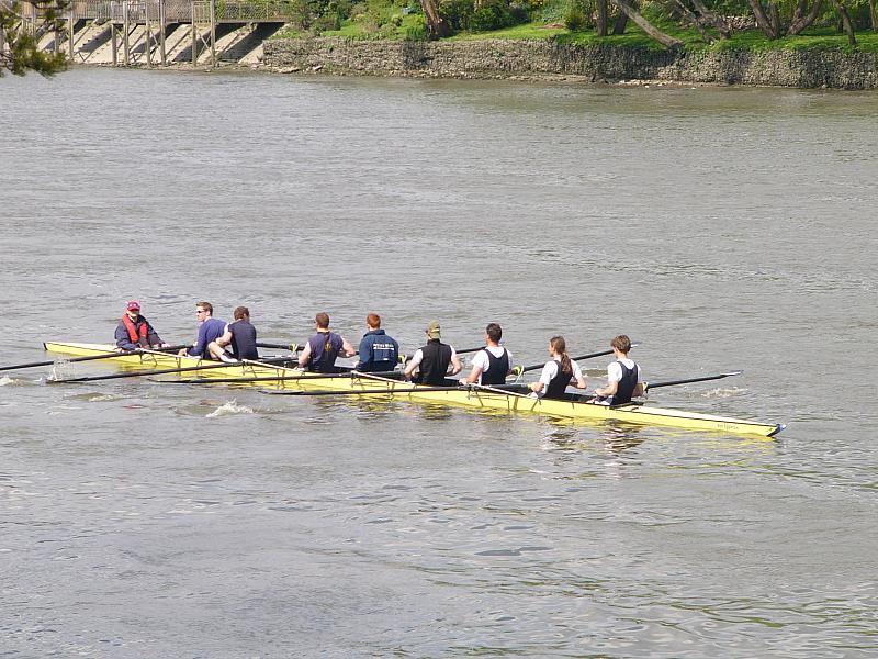 Chiswick Regatta 018.jpg