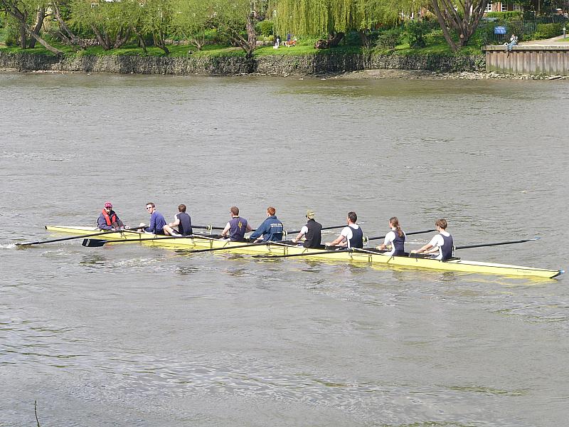 Chiswick Regatta 019.jpg