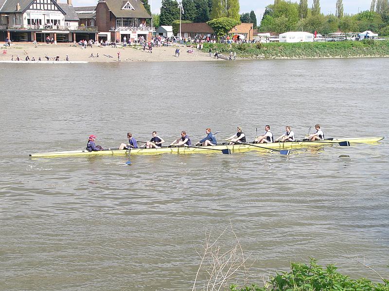 Chiswick Regatta 022.jpg