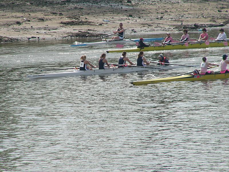 Hammersmith Regatta 012.jpg