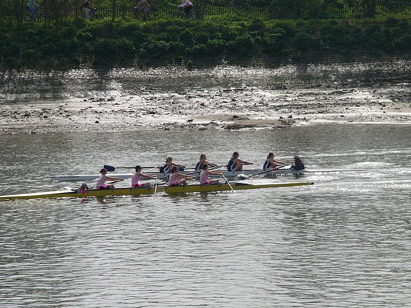 Hammersmith Regatta 013.jpg