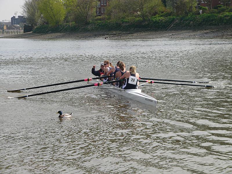 Hammersmith Regatta 015.jpg