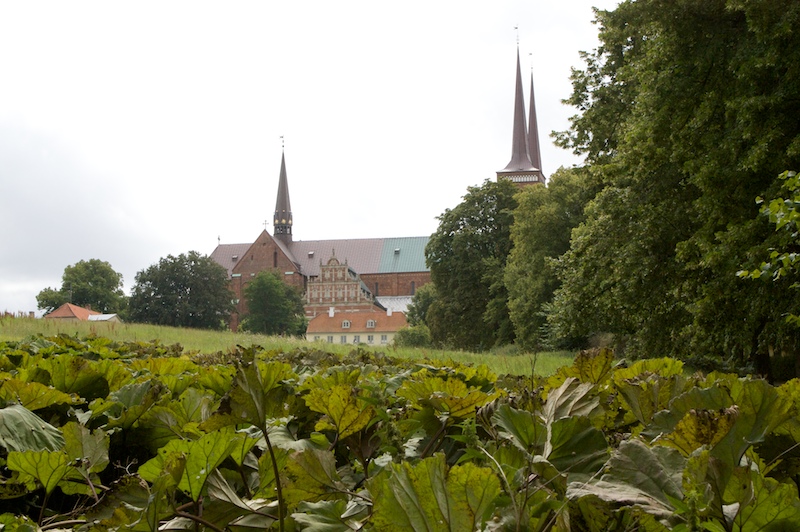 IMG_1430 - Version 2.jpg