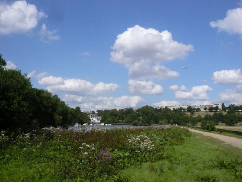 P1110521.jpg