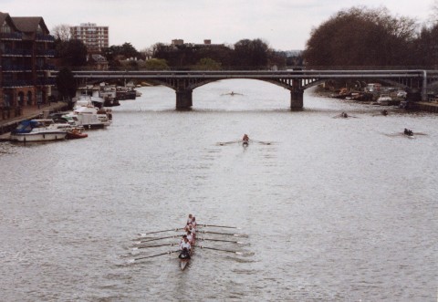 Novice Women's eight