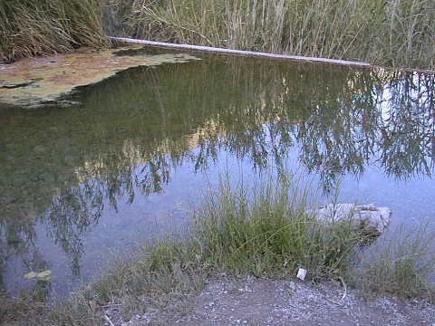 Water