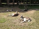 IMG_2751.JPG