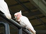 IMG_2787.JPG